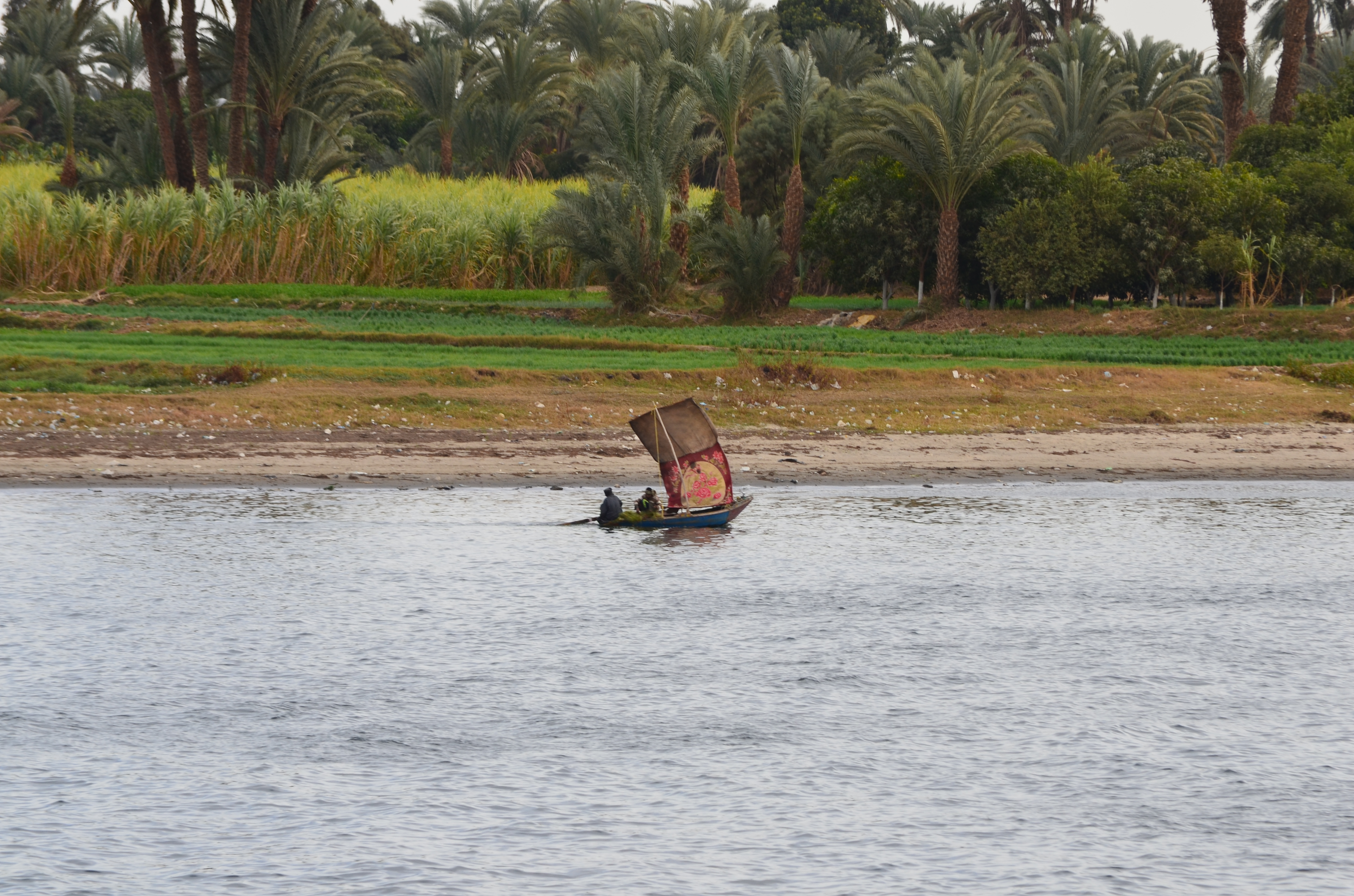 ./2018/16 - Egypt/11 - Edfu/EDSC_0120.JPG